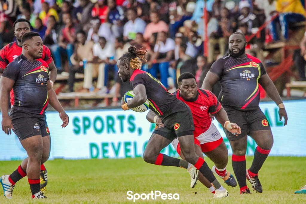 rugby cranes